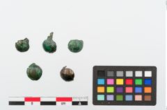 Foto von Bronzeknopf (NHMW-PRAE-024124)
